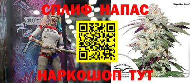 ECSTASY Краснодар