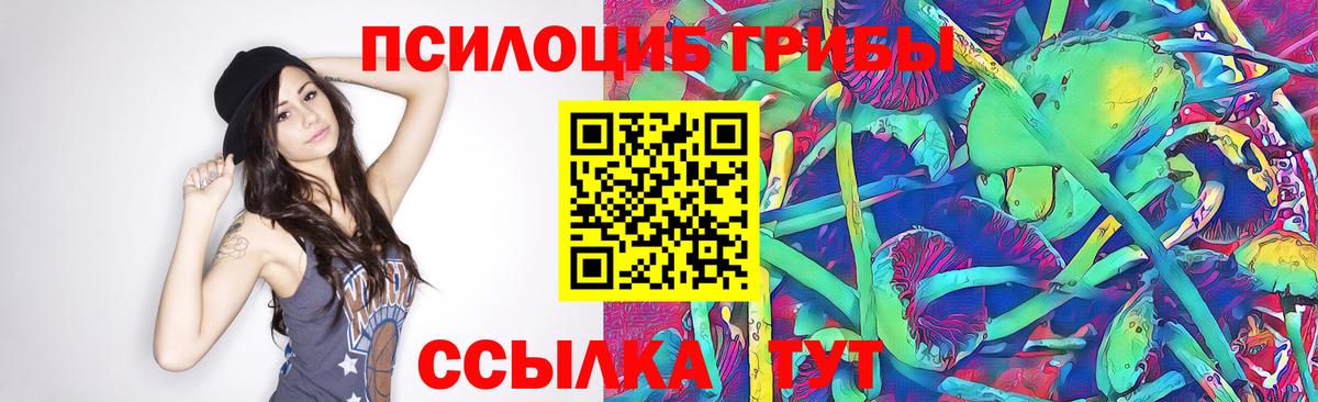 где можно купить наркотик  Вход с VPN  Шатура  Галлюциногенные грибы Magic Shrooms  Галлюциногенные грибы Psilocybine cubensis 