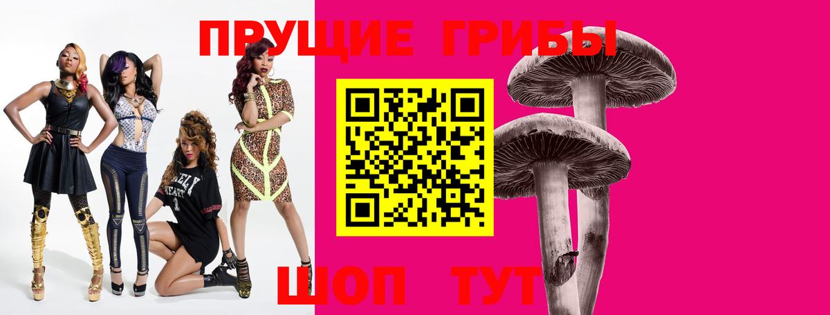 Галлюциногенные грибы прущие грибы Шатура